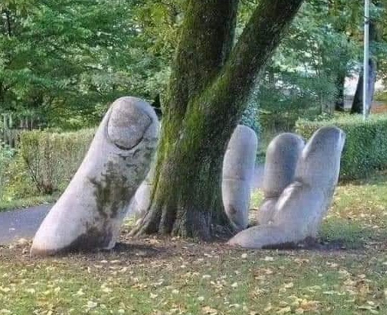 Our roots – we cherish, we destroy.