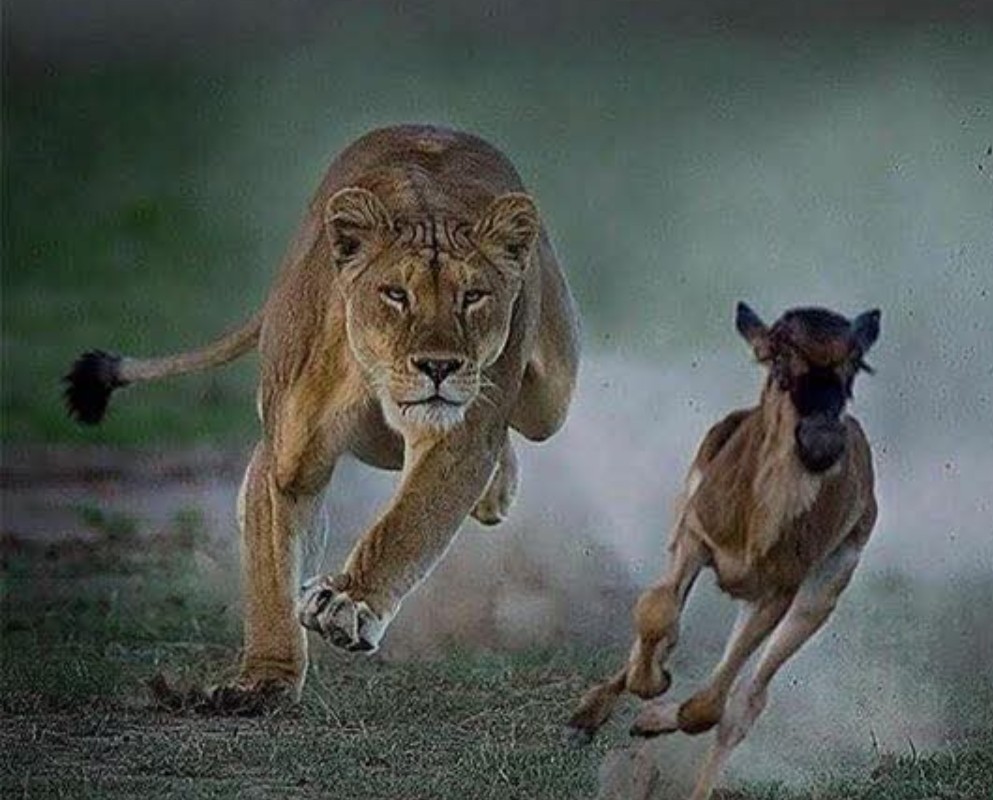 Is life a game of winning and losing?